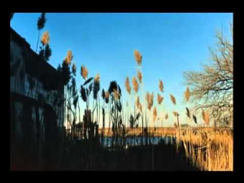 The Cinematic Orchestra featuring Fontella Bass - Breathe