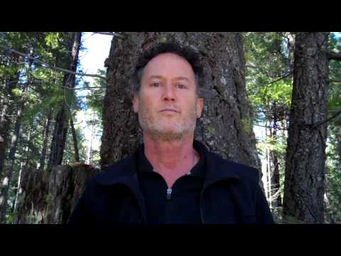 Embracing Fear - A Doorway Into the Heart Part 1 | Spiritual Awakening