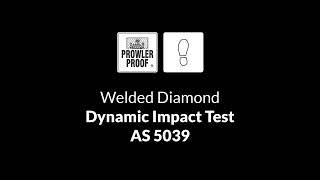 Dynamic impact test