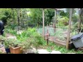 Touring Community Gardens With Kids