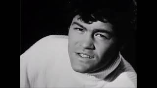 The Monkees - Daily Nightly