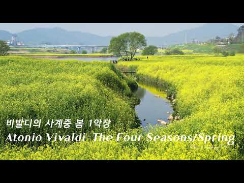 비발디 사계중 봄 1악장
