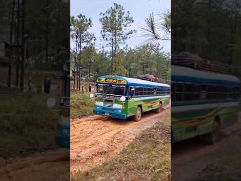 #offroad #bluebird ruta 486 #perquin #morazan #marcala #allamerican #elsalvador #chickenbus #4x4