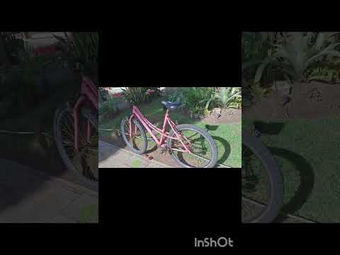 Praia do Forte ,Bahia, Mata de Sao João video valci barreto.BahiaBrasil