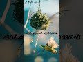 Aval Varum Kakshi Amminipilla Asif Ali Lyrics Whatsapp Status S R Creation