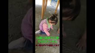 公園の遊具下に潜り込むひーさん#1