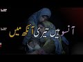 Kashmir Tera Husn Hua Dard Ki Tasveer