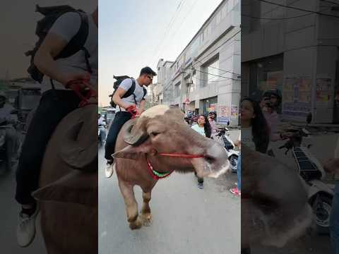 Kya pawar hai ..#shorts #reaction #publicreaction #viral