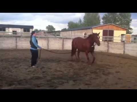 Anfänge Bodenarbeit