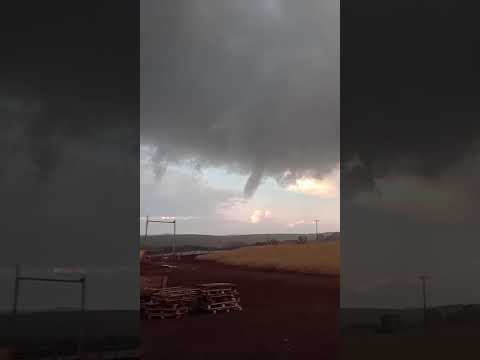 Tornado em Nova Aurora - PR hoje. (08/08/2026) #tornado #chuvas