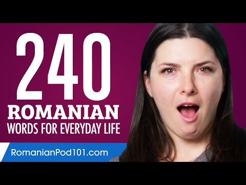 240 Thai Words for Everyday Life - Basic Vocabulary #12