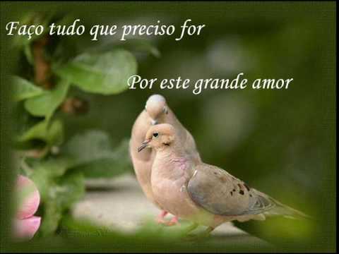 silvajonath’s Video 57049351401 dhVgwVTIOXA