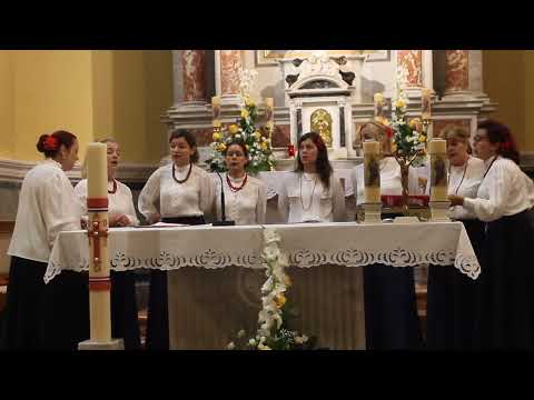 KLAPA NAVA -  LJUBAV JE TVOJA KAO VINO