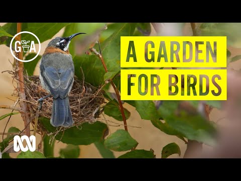 We Built A DIY Garden To Attract Wild Birds