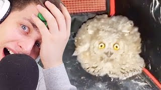 ТЕСТ НА ПСИХИКУ - КТО ЗАСМЕЯЛСЯ, ТОТ ПОПА! (HypeR - Попробуй не засмеяться)