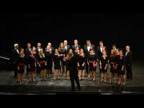 Apollo Choir - Ave Maria (Gediminas Kalinas)