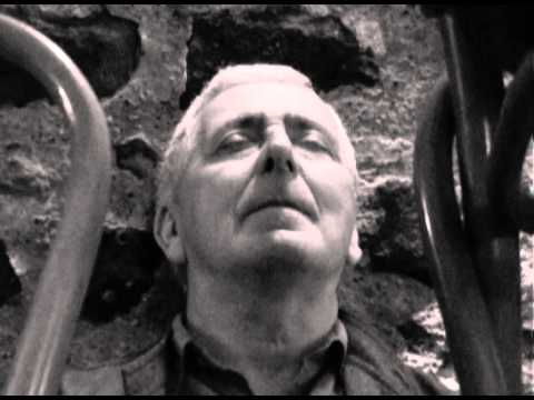 Stan Neumann (2009) by Gérard Courant - Cinématon #2232