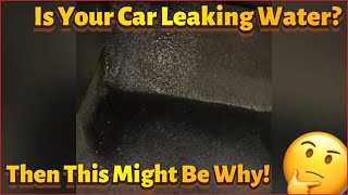 Nissan Versa Water Leak