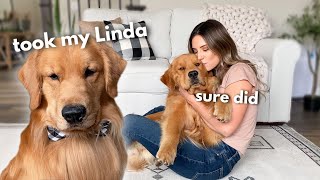 Hugging My Dog's Brother for Too Long | Jealous Dog Reaction