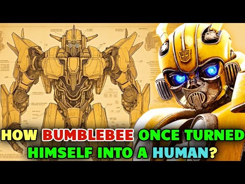 Bumblebee Anatomy Explored - How Bumblebee Transformed Into A Human? Does He Have A Soul?