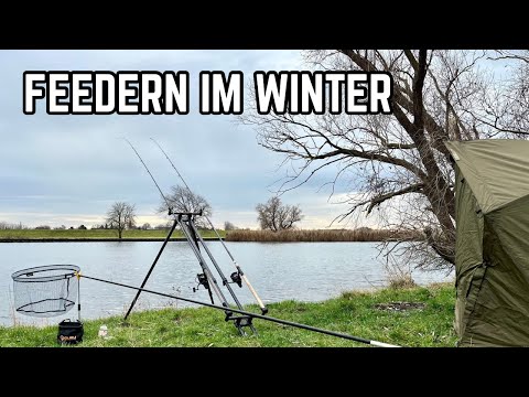 Feeder fishing in winter on the river | Tactics, spot selection and simply fishing!