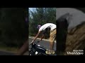 Bike Race Don T Drive