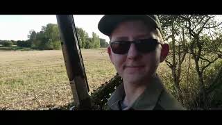 Duck, goose and pigeon shooting in September