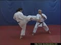 Bunkai Tekki Nidan Par Jean Pierre Lavorato