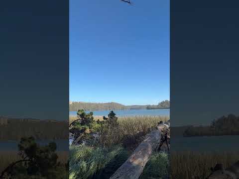 La joya natural de San Pedro de la Paz que debes visitar YA