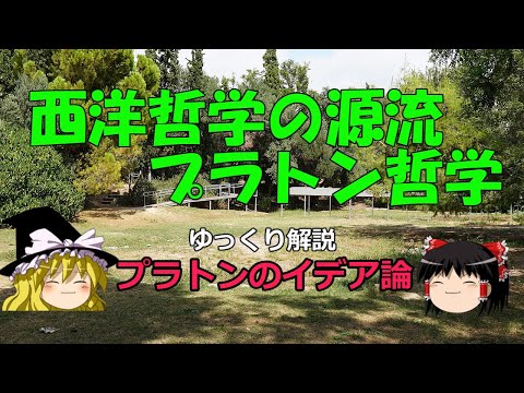 フェドリツィオイデアについて詳しく解説