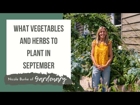 image-Is September a good time to plant plants?