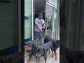 IMG 1063