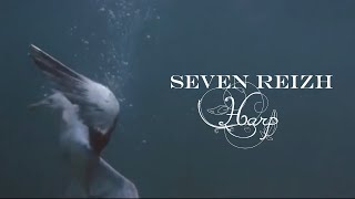 Music video thumbnail preview for Harp by Seven Reizh