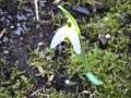 Track 03 48 Wmv