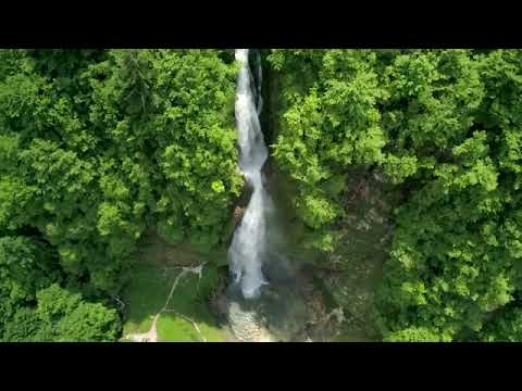 Forests from Above (No Sound) — 10 Hours Screensaver