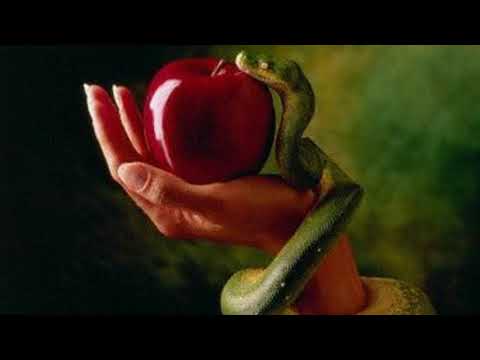 Laura Andresan - Fructul interzis (feat Laurentia Adrian)