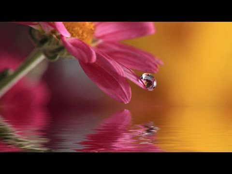 How is the Mikvah used — play video