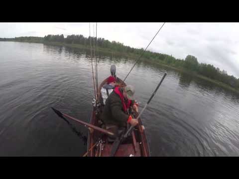 Lohenkalastusta tornionjoella