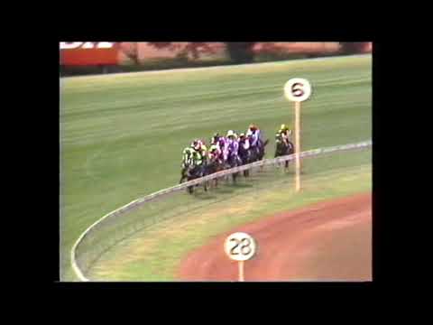 Lets Elope - Mackinnon Stakes 1991