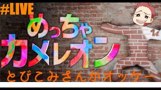 【めっちゃカメレオン】#4 毎週土曜日のお楽しみ【地震・雨大丈夫？】
