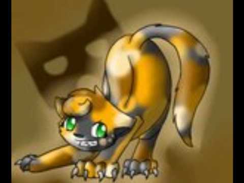 tawnypelt- a place in this world