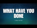 What Have You Done - Liam Payne