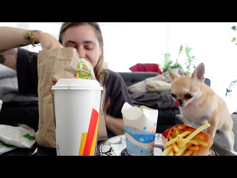 Ta jedna youtuberka która wierzy w astrologię