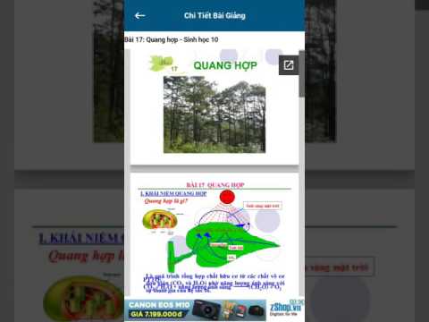 Sinh phổ thông Video