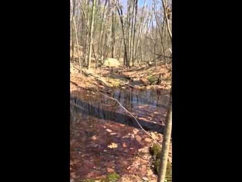Moment at a waterfall, Sutton MA