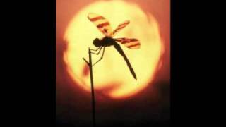 Otherworldly Dreamer - deadboy &amp; the Elephantmen / Dax Riggs