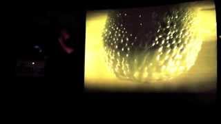 DI*OVE - What The Fuck (Live @ Fiesta du Rock 2013)