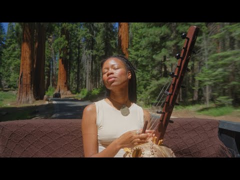 Sequoia Suns (1 hour) - Healing Ngoni Music - Receiving Signals from the Heavens