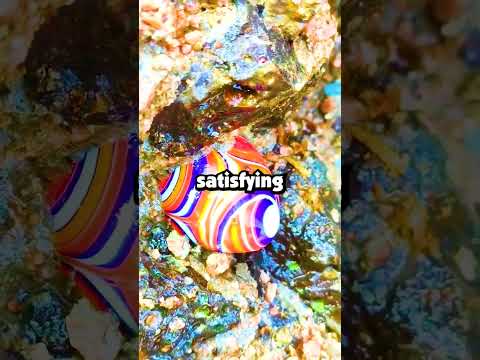 What's the funniest thing that ever happened right in front of a general?