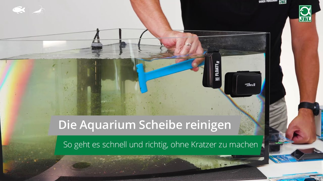 JBL Blanki Set - Kratzfreier Aquarien-Scheibenreiniger mit Stiel.